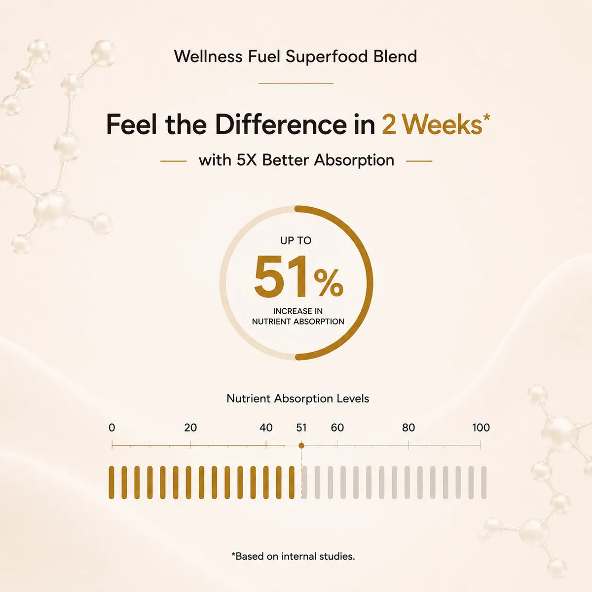 Superfood Blend by Wellness Fuel | Best for Overall Wellness