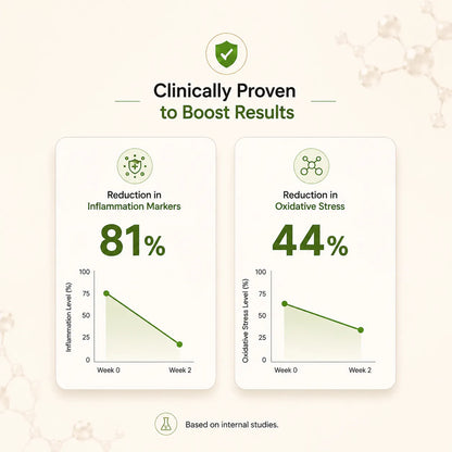 Superfood Blend by Wellness Fuel | Best for Overall Wellness